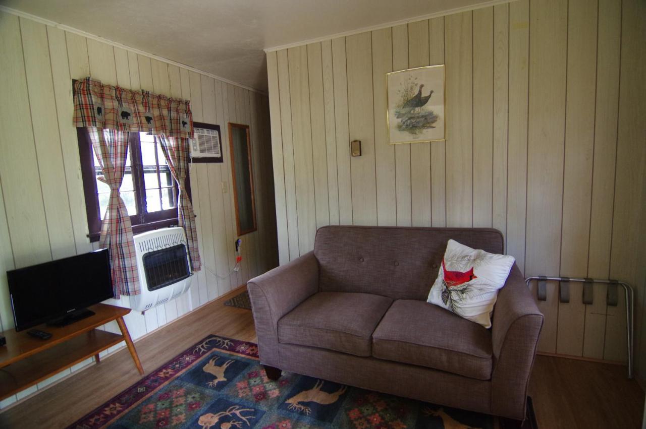 Moreno's Adirondack