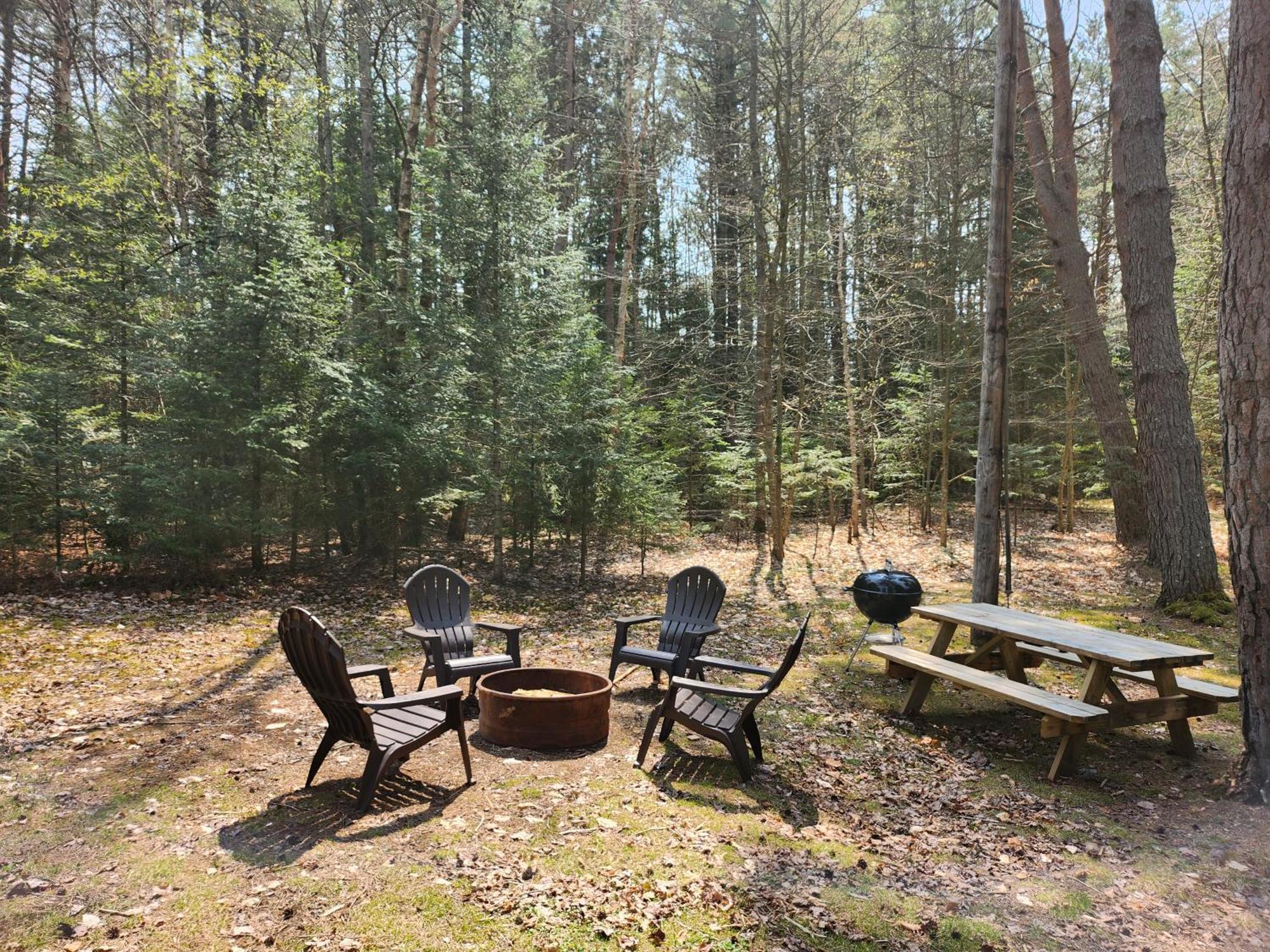 Moreno's Adirondack *